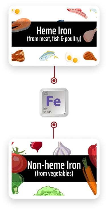 Heme iron from meat fish and poulty