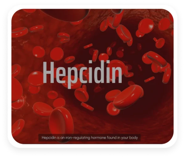 Hepcidin